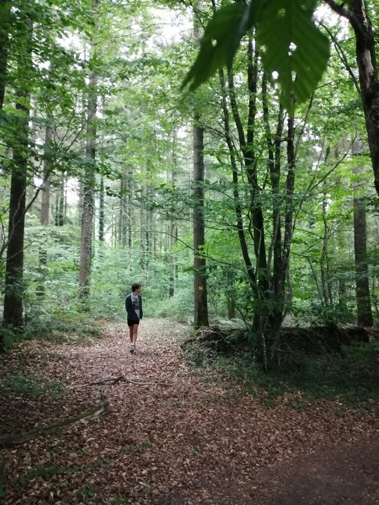 bois de Guigny